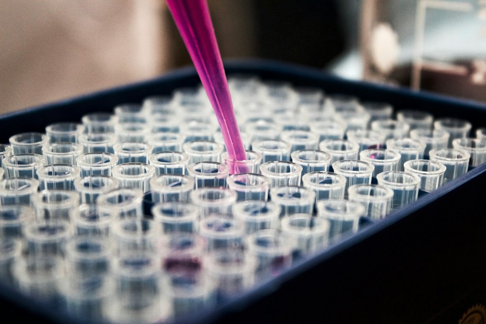 A pipette dispensing sample into a microplate during laboratory analysis